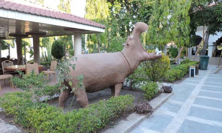 Hotel Sunbird